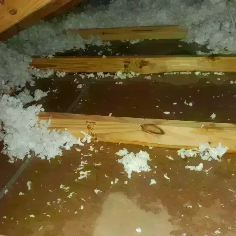 Attic Water Damage in Sigourney, IA