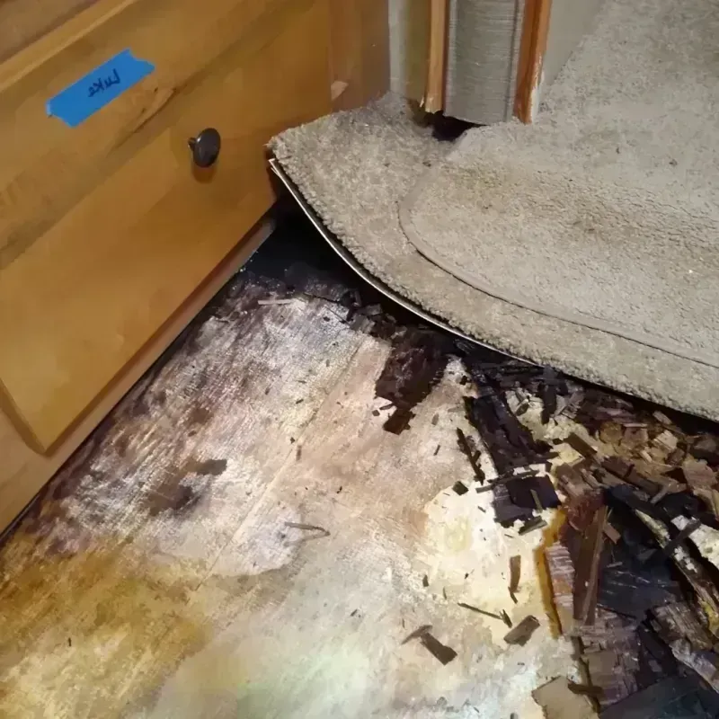 Best Wood Floor Water Damage Service in Sigourney, IA